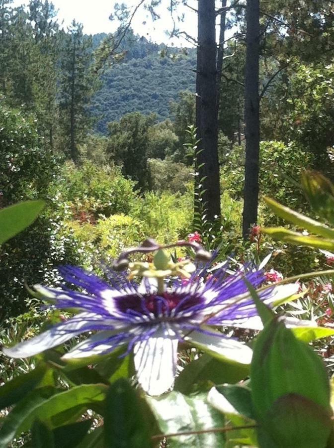 Les Jardins Hotel Anduze Exterior photo